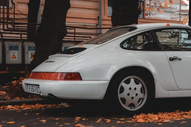 Playerz Casino Android/iOS App